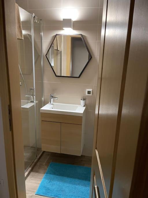 Apartament Garden Rovinj Zewnętrze zdjęcie
